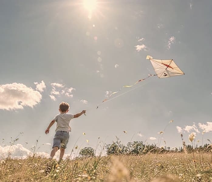 Jeanine van Seenus, How can IFS help?